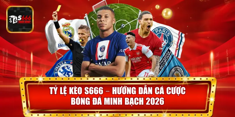 S666 cung cấp tỷ lệ kèo minh bạch, đa dạng và được cập nhật liên tục cho người chơi cá cược bóng đá.